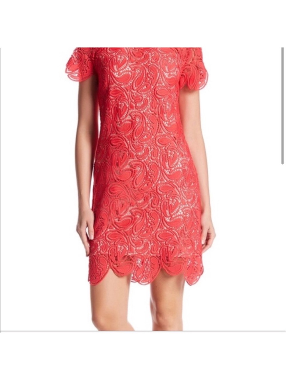 Shoshanna Rae Guipere Coral Lace Dress 
Coral Lace Scallop-Hem Short Dress